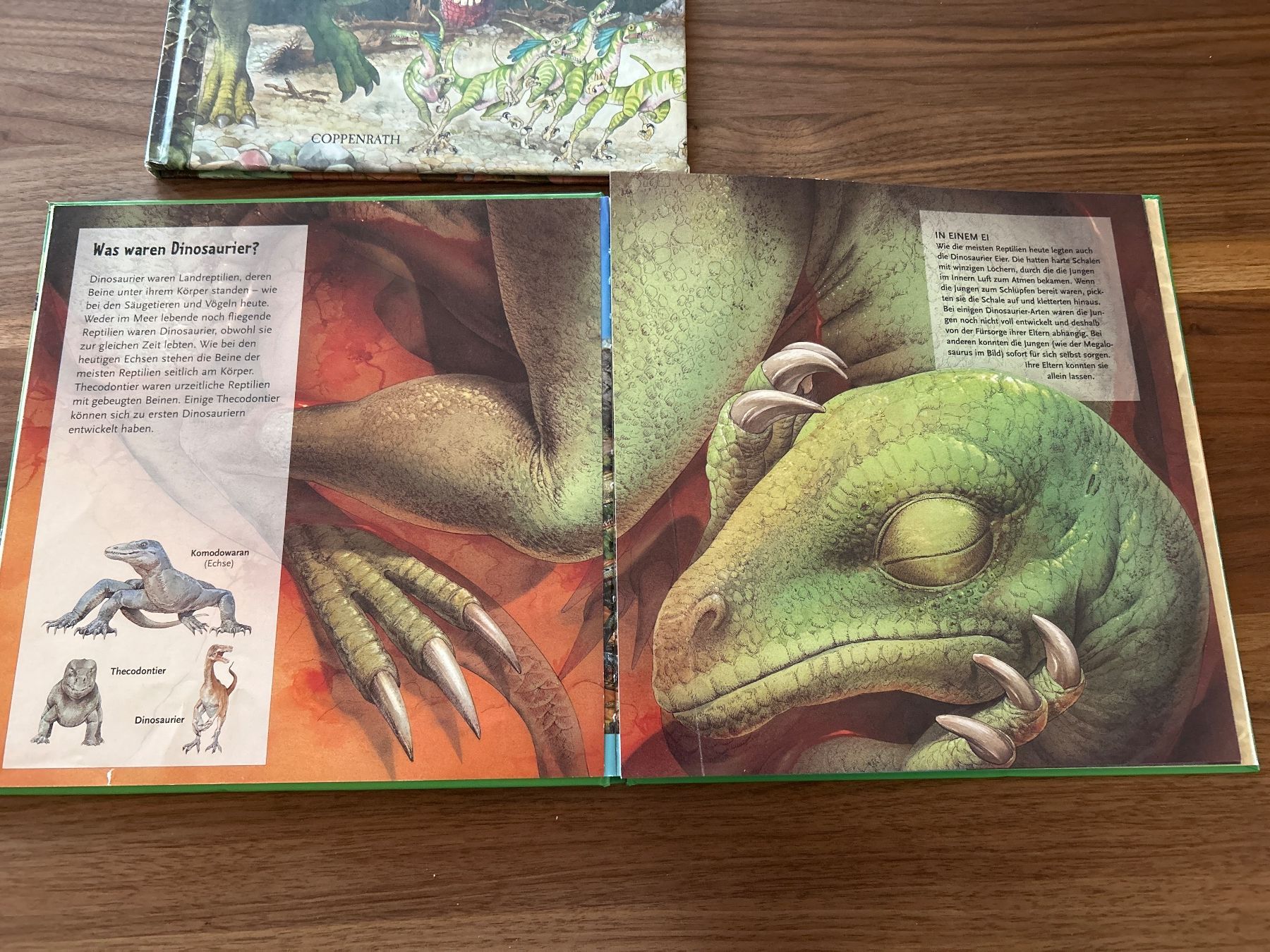Libri: Dinosaurier Bücher von Coppenrath – Usato da Magden venduto da ctw_mp7b 6