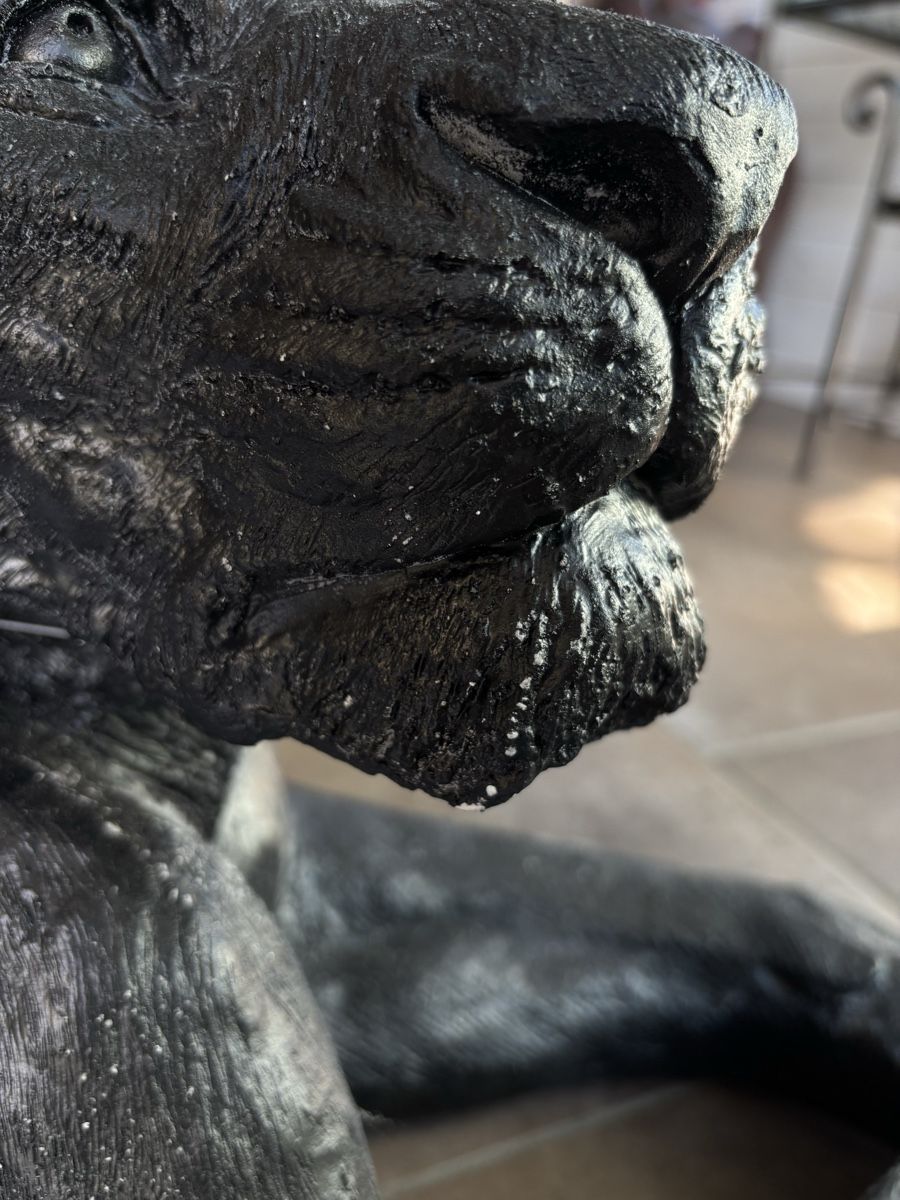 Skulpturen & Statuen: Statue de lionne – Neu (gemäss Beschreibung) aus Bassecourt von sev_5rxg 4