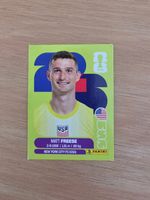 Panini Fifa USA 2