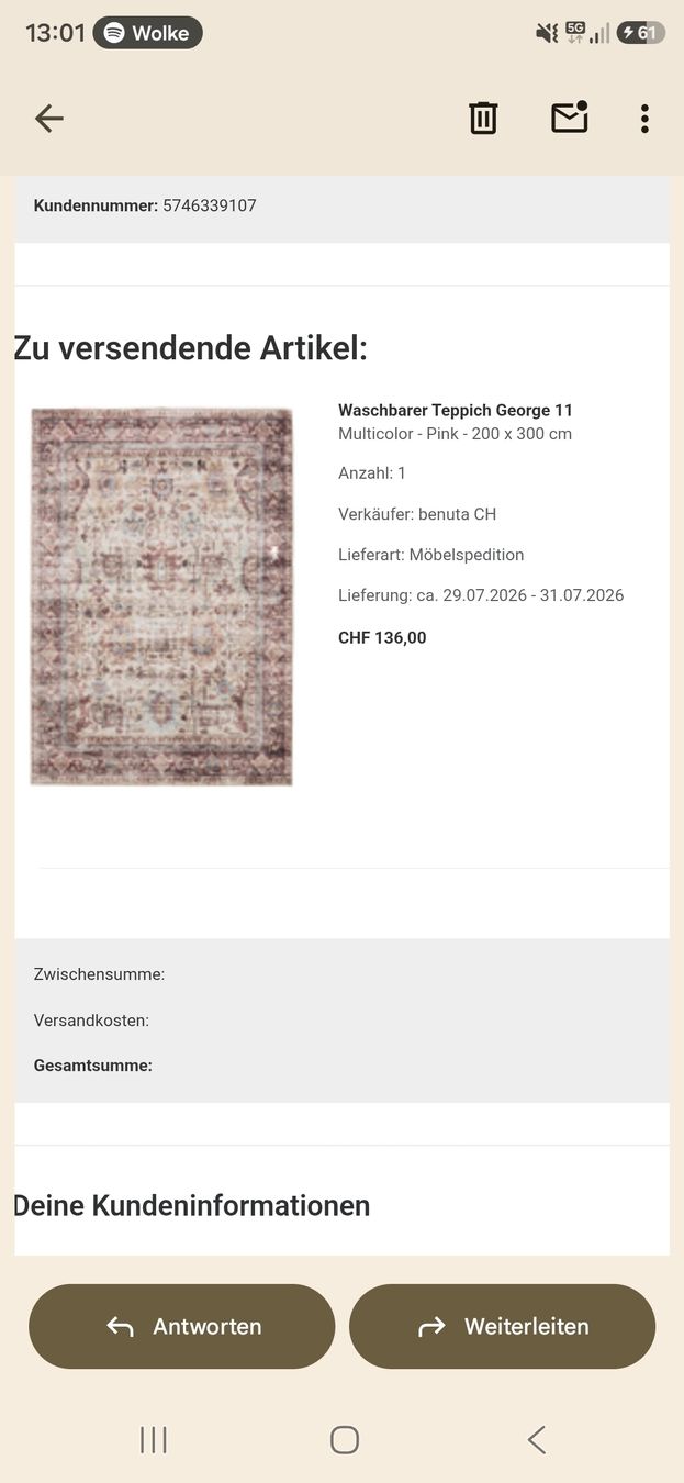 Teppiche: waschbarer Teppich – Neu (gemäss Beschreibung) aus Schaffhausen von Walnat 1