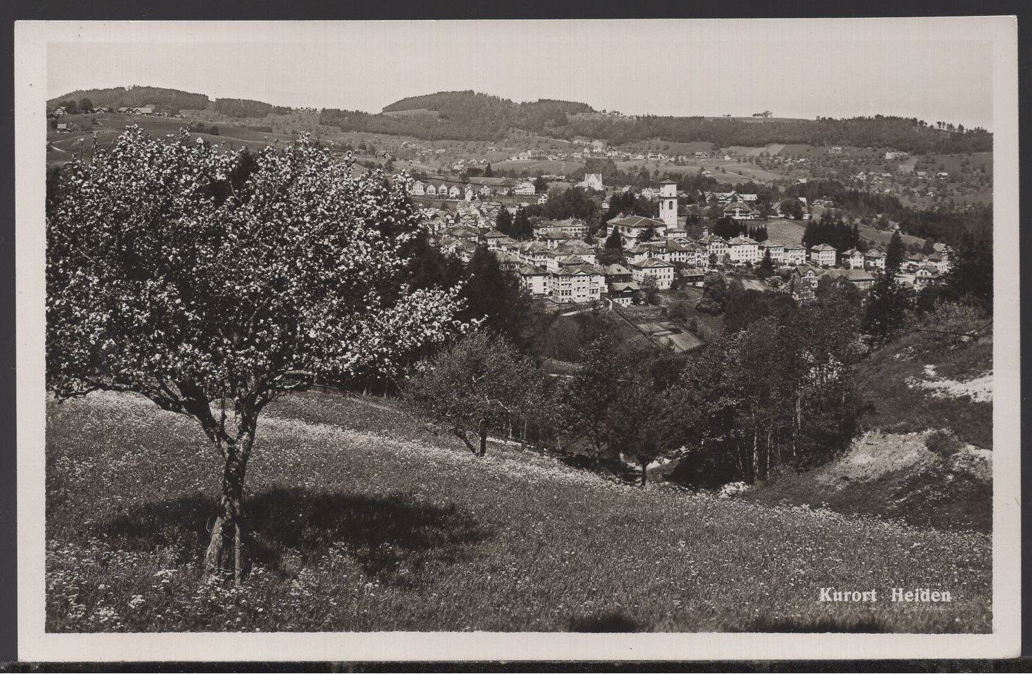 Cartoline postali: Heiden  Kurort – Usato da Aarau venduto da kufi44