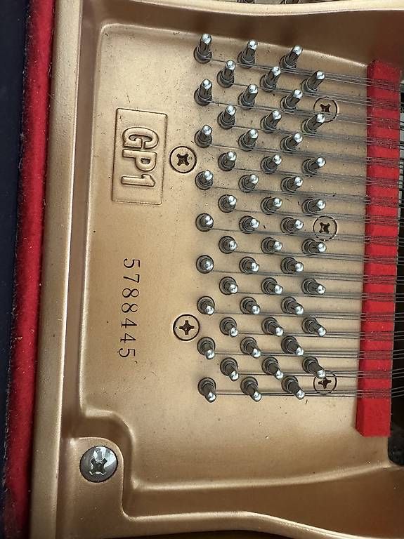 Strumenti musicali: Flügel Yamaha GP1  – Usato da Embrach venduto da CarlosTF 2