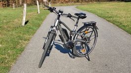 Flyer E-Bike TX 45km/h