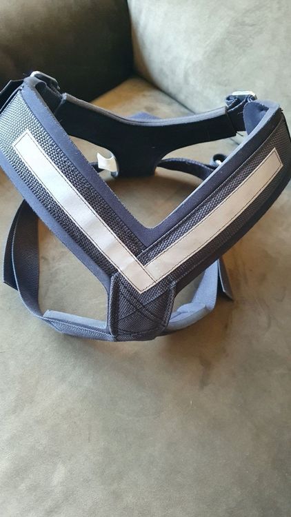 Leine & Halsband: Hunde Sicherheits-Geschirr, Autogurt, Cabriolet – Gebraucht aus Turgi von nachtheuel 2