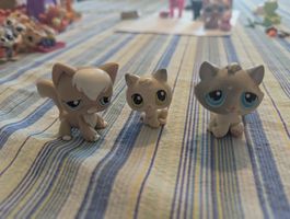 littlest pet shop Katzen Trio (grau)