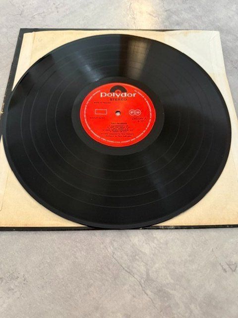 Dischi in vinile: Rory Gallagher 1971 Same (LP 1st Issue) – Usato da Territet venduto da Yvanz 1