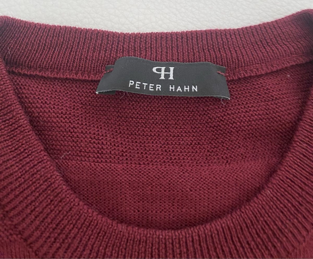 Peter Hahn Pullover & Sweatshirts: Peter Hahn wolle pullover – Gebraucht aus Opfikon von Luis144 1