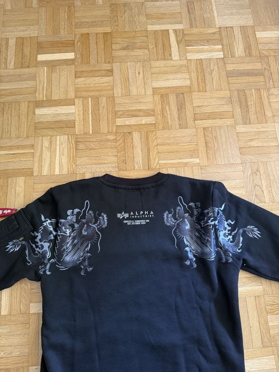 Maglioni & Felpe: Alpha Industries Pullover Grösse S – Nuovo (secondo la descrizione) da Basel venduto da zum_wyx6 2