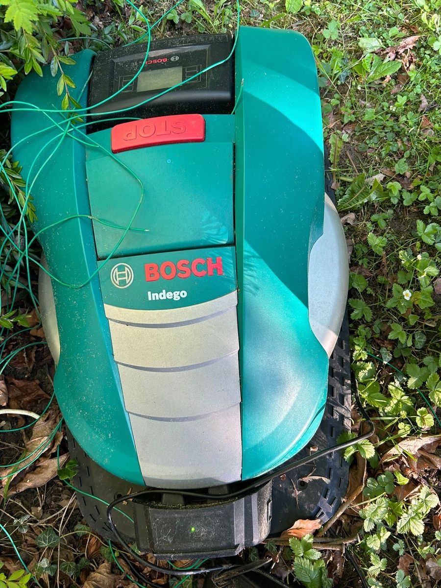 Bosch Tagliaerba: Tondeuse robot bosh – Usato da Trey venduto da dja_j9jn
