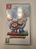 Mario & Luigi Brotherhood