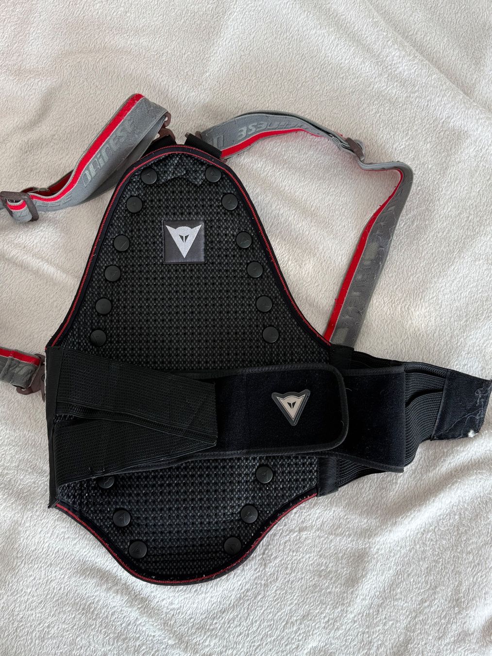 Dainese Protezioni & Imbottiture: Rückenpanzer – Usato da Biel/Bienne venduto da Stefanie_98 1