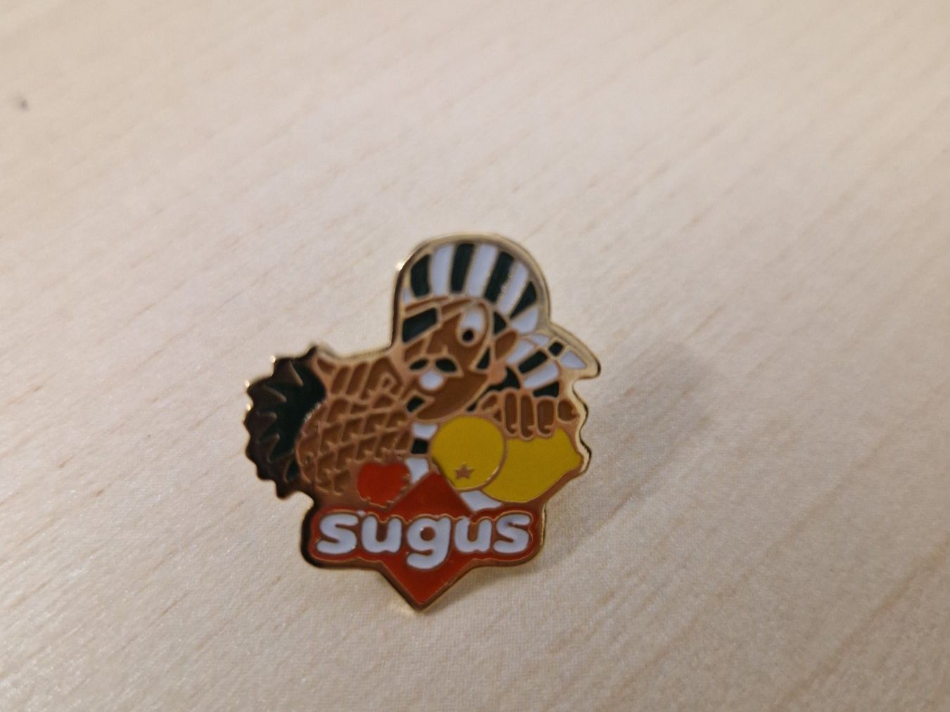 Sugus Plaketten & Abzeichen: 1 pin SUGUS – Gebraucht aus Mezzovico von maemy