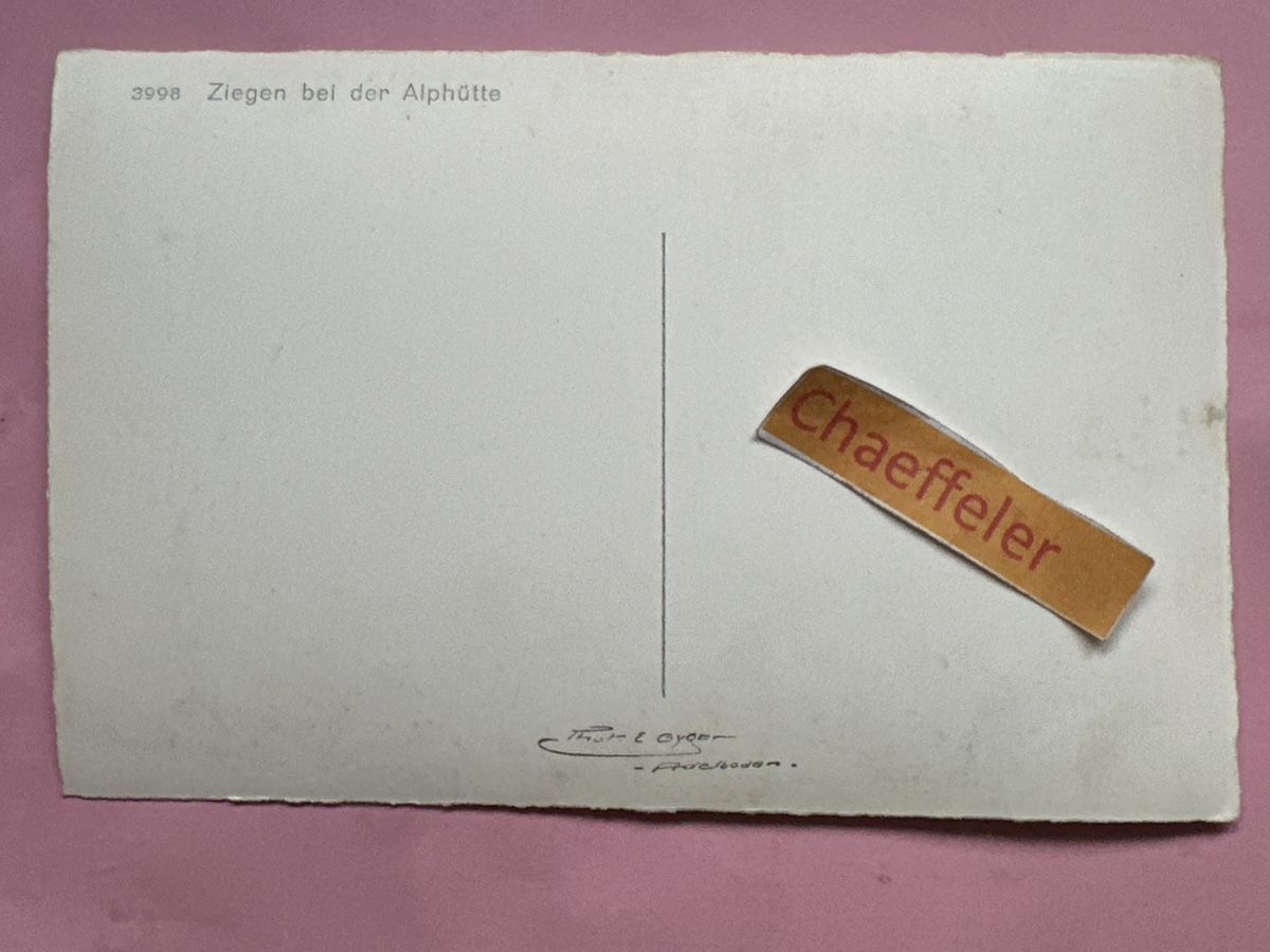 Cartes postales: 3998 Ziegen bei der Alphütte – D'occasion à Zürich par Chaeffeler 1