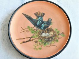Rar ANTIKE Teller 1889er WS&S -Terracotta