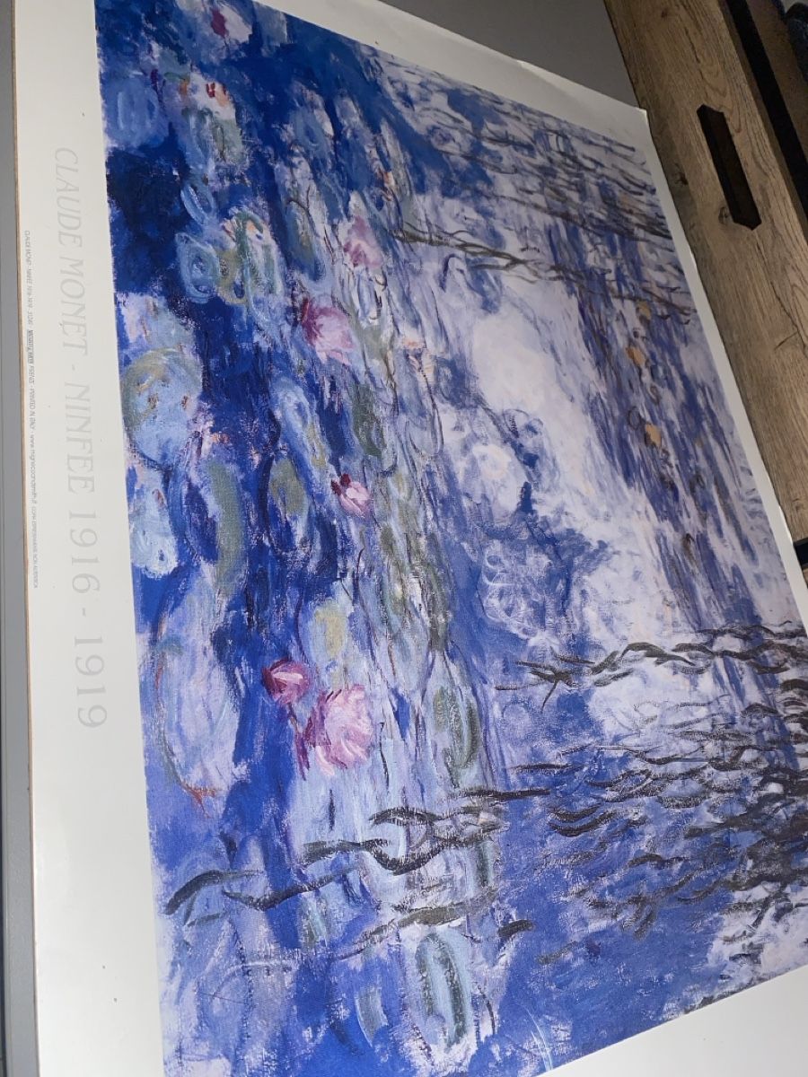 Foto & Immagini: Monet's Water Lilies Print – Usato da Dietikon venduto da Tdaf33 1