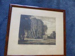 Original Lithographie,Signiert Künstler G.Kasper,Landschaft