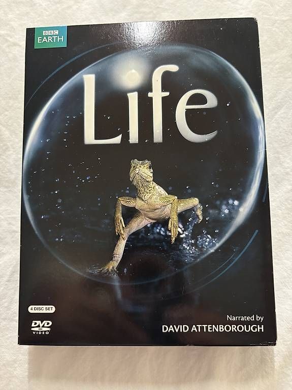 Tutti i DVDs: DVD - Life - BBC – Usato da Massagno venduto da anickc