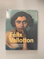 Livre Félix Vallotton Fire beneath the ice, Marina Ducrey