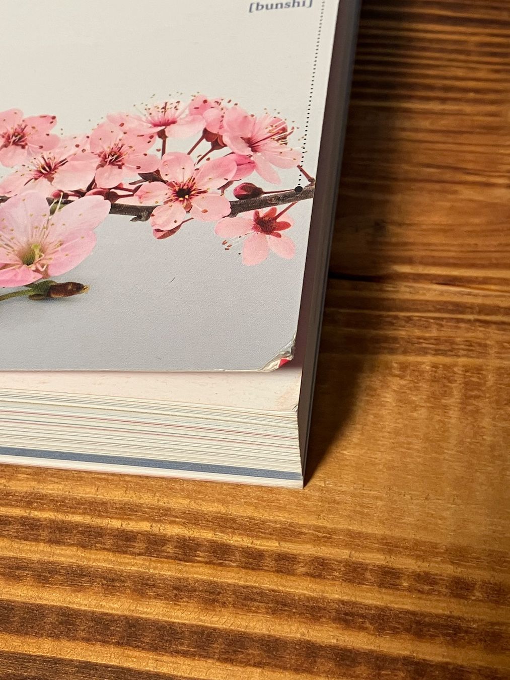 Libri: PONS Bildwörterbuch Japanisch-Deutsch – Usato da Grindelwald venduto da mekke.mekke 6