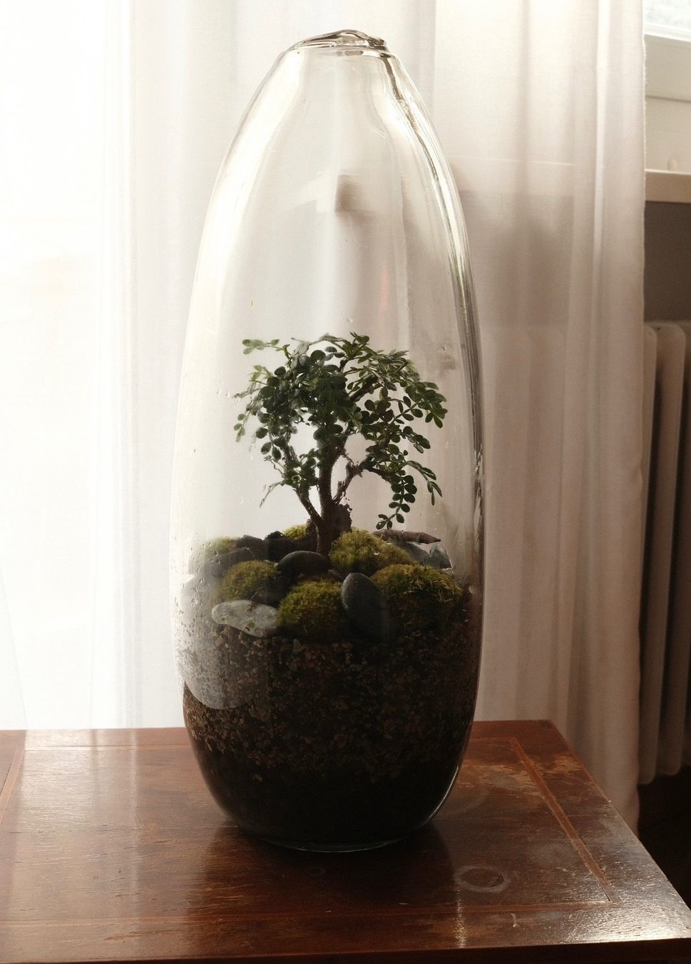 Vasi & Recipienti: Grosse Glasvase - Midcentury - Unique Shape – Usato da Zürich venduto da Sere.05