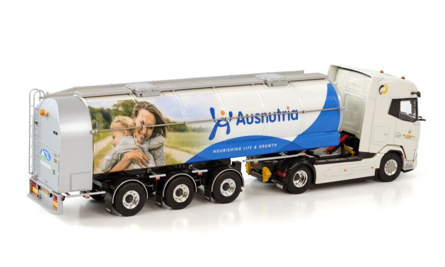 WSI Models Modellbausätze & Standmodelle: WSI 01-3648 DAF Gebrüder Dunnik BV – Neu (gemäss Beschreibung) aus Dagmersellen von FBM-Bacheli