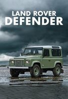 Blechschild-LANDROVER DEFENDERE - grün am Strand im Wasser