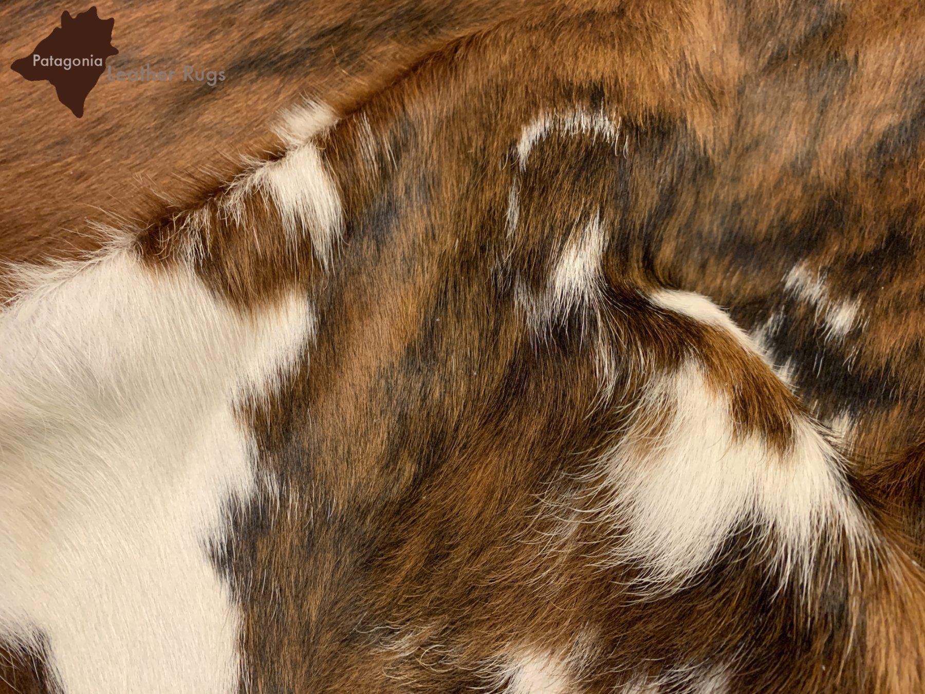 Tappeti: echtes Kuhfell Teppich exotic tricolor – Nuovo e nell'imballaggio originale da Arbedo venduto da patagonialeatherrugs 1
