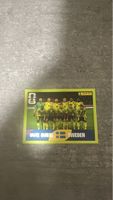 SWE 13 , FIFA WORLD CUP 2026 PANINI