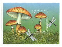 Block "Pilze". Grenada