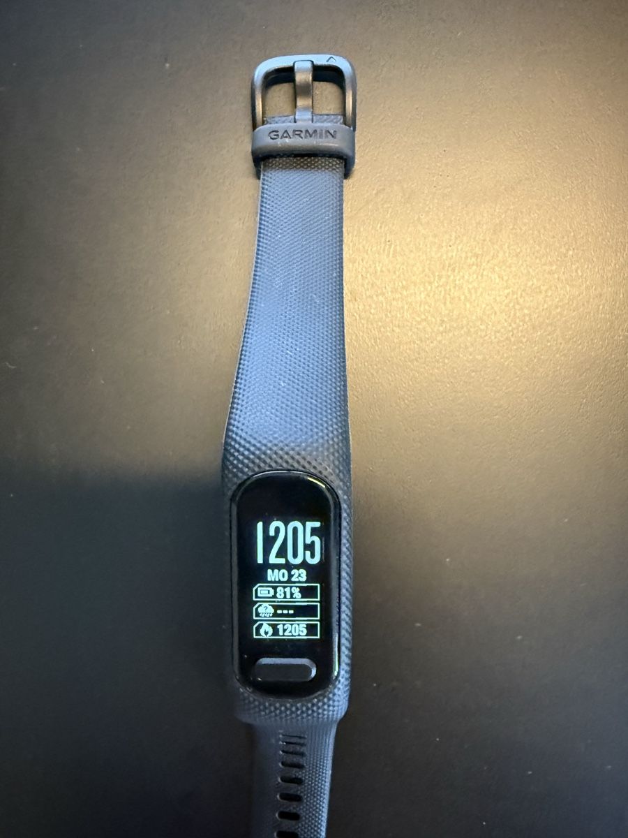 Garmin Smartwatch: Garmin vivosmart – Usato da Bad Ragaz venduto da anj_tpy5 1