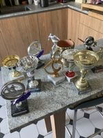 11 Pokale - Fussball