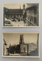 Ansichtskarten Fribourg - Notre-Dame und Tilleul de Morat