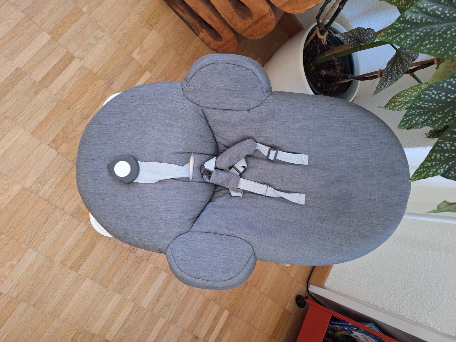 Stokke Wippen & Schaukeln: Stokke Steps Wippe / Baby Sitz – Gebraucht aus Zürich von tom37446 1