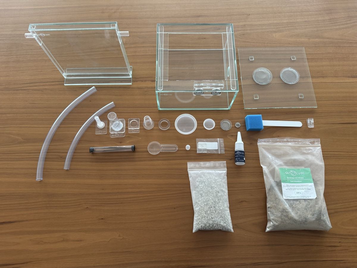 Terrarium: ANTCUBE Starter Set 20x20 - Wiese – Gebraucht aus Engelburg von Cyan_