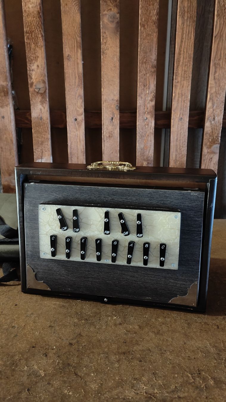 Strumenti musicali: Shruti-box – Usato da Massagno venduto da Cagliostr0