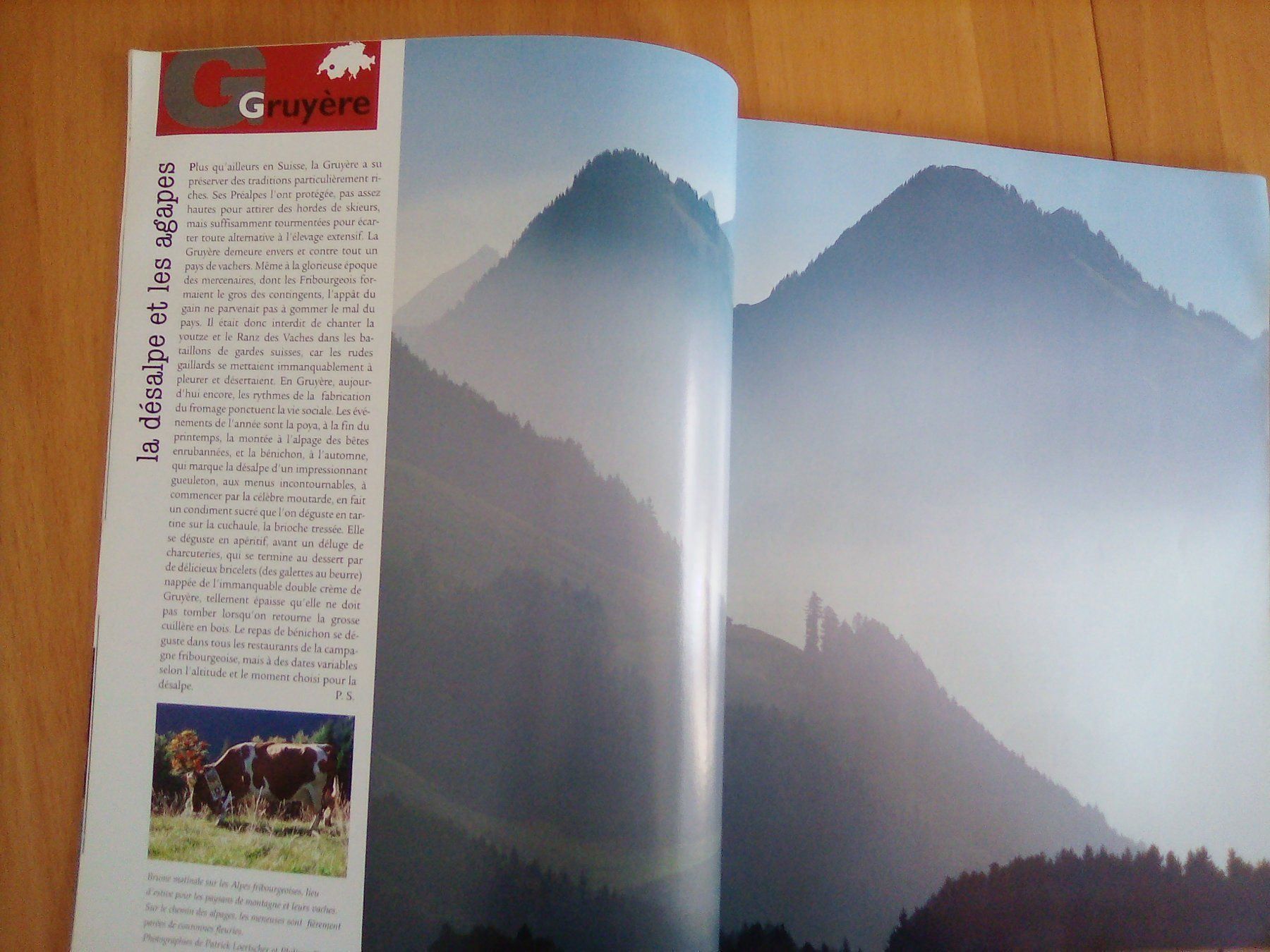 Riviste & Magazine: ANIMAN Suisse - Le voyage immédiat – Usato da Porrentruy venduto da tupatup 7