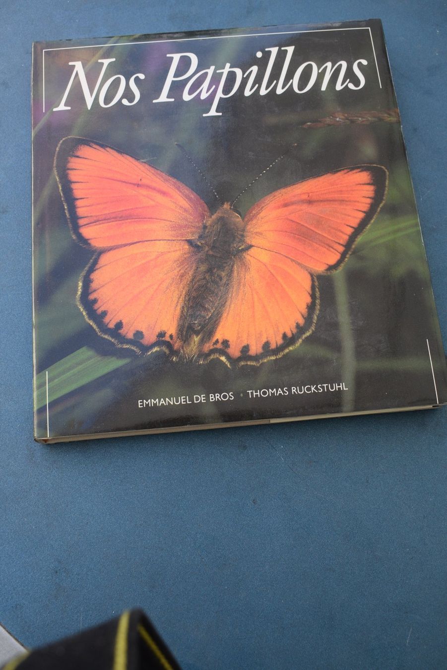 Libri: Nos Papillons – Usato da Brügg BE venduto da Aristotolius