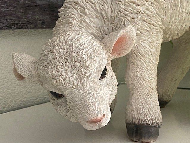 Collecta Spielfigur Bauernhof – Lamm, Realistisch, 5 X 2,3 X 4,5 Cm, Für Kinder Ab 3 Monaten, Ideal Für Spielzeug-Sammlungen Und Kleine Tierfreunde