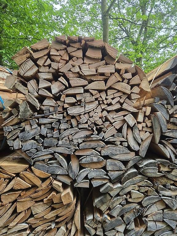 Articoli in legno: Brennholz  – Usato da Sachseln venduto da Cat_m320f 3