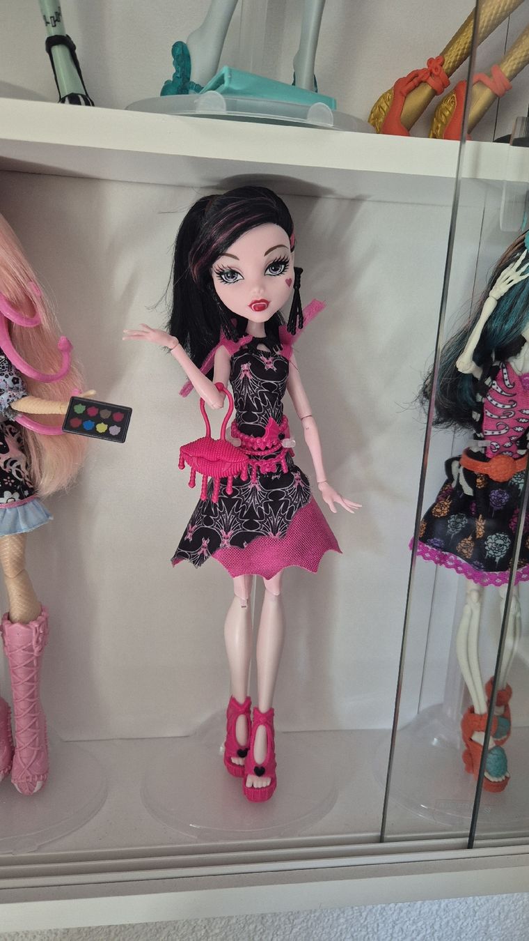 Bambole: Monster High Puppe Draculaura Frights – Usato da Innertkirchen venduto da lua_v5zm