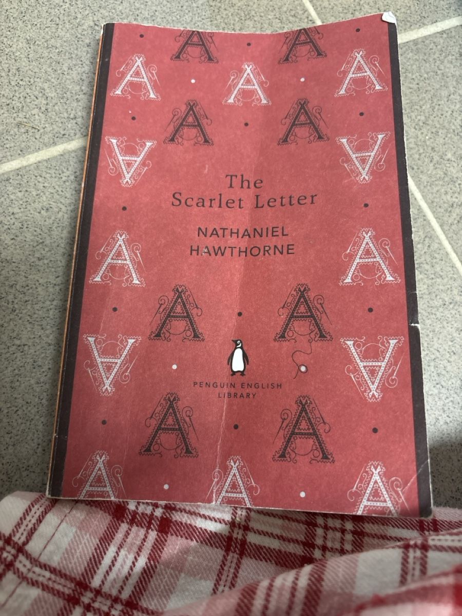 Livres: Nathaniel Hawthorne - Der scharlachrote  Buchstabe – D'occasion à Olten par Kleidersimu12445