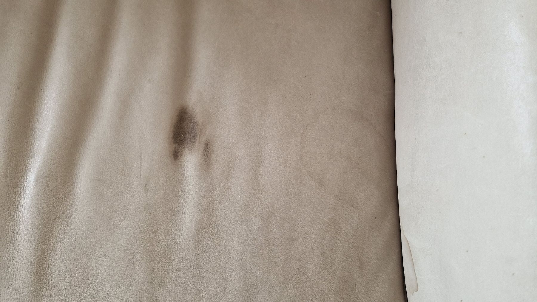 Divani: Echtleder Sofa hellgrau (mit Flecken) – Usato da Weisslingen venduto da fuesel 1