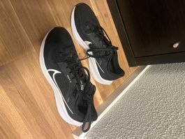 Nike Pegasus 40 Running Shoes