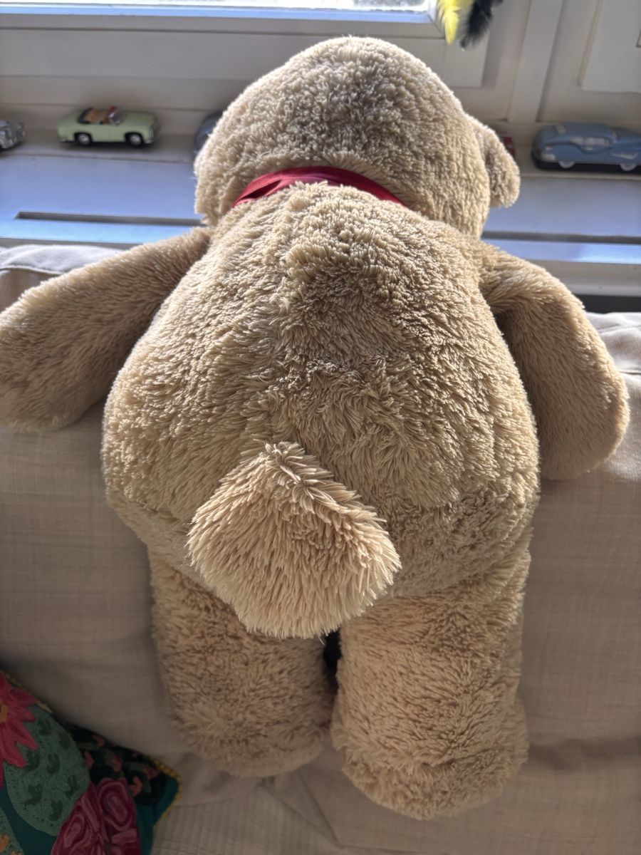 Spielzeuge: Teddybär – Gebraucht aus Zürich von gucks 3