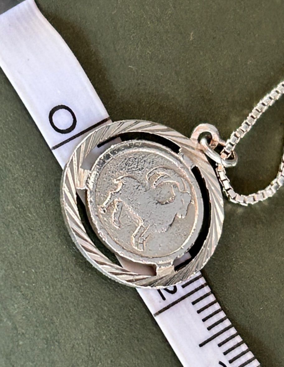 Catenine: Kette Steinbock Silber – Usato da Basel venduto da bellespirit 5
