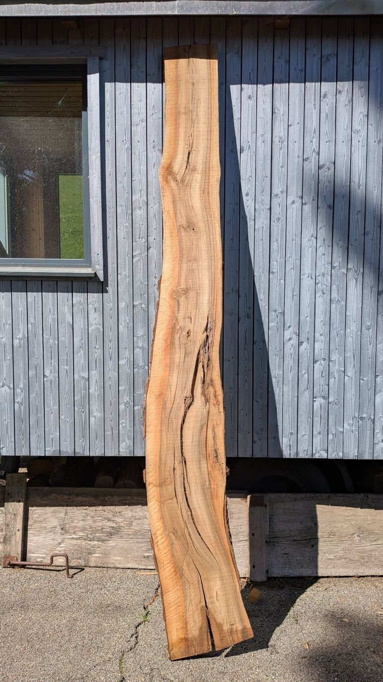 Articoli in legno: Nussbaumbrett  – Nuovo (secondo la descrizione) da Wattwil venduto da Woodbender