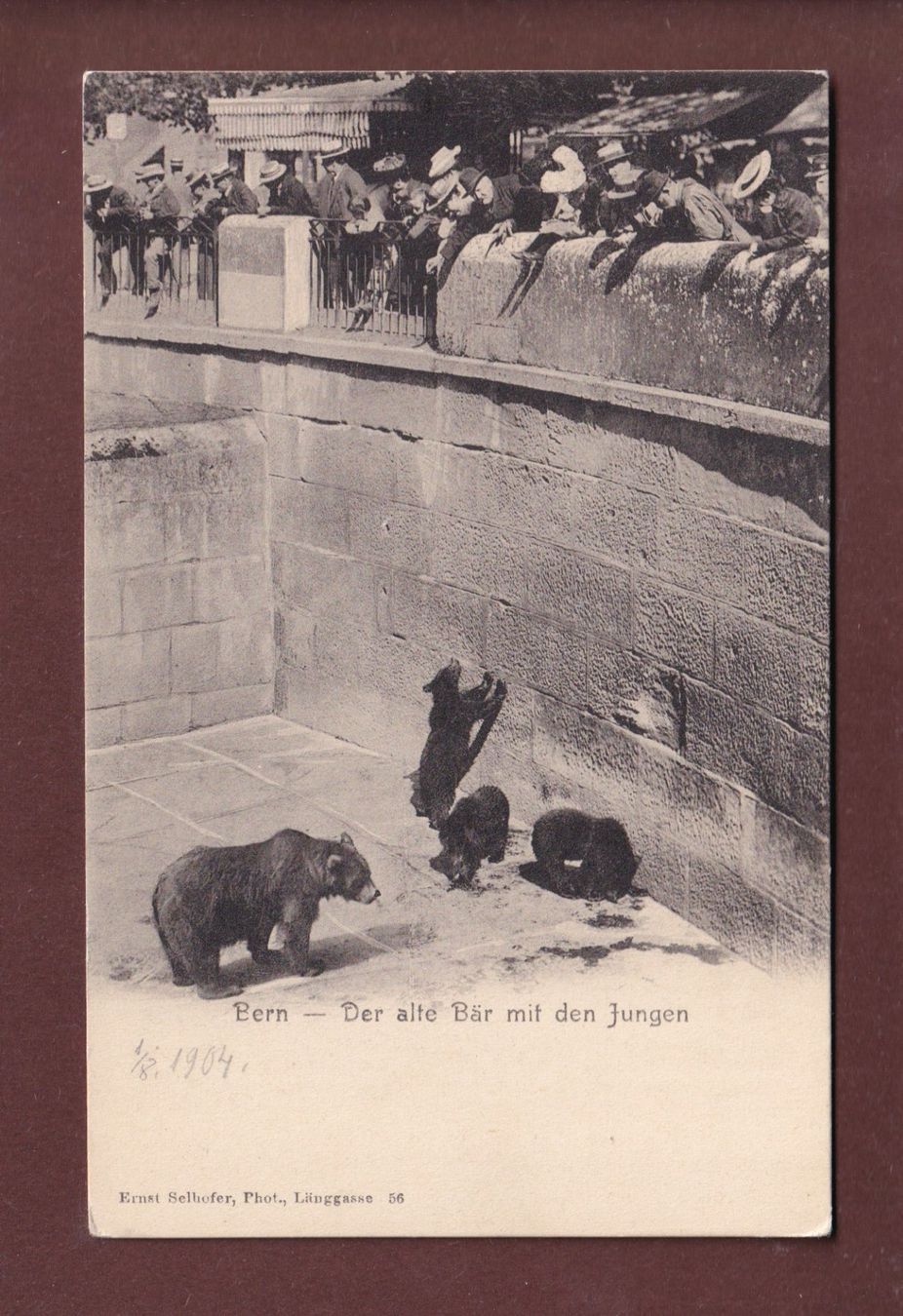 Cartoline postali: BERN - Bärengraben - Leute - 1904 – Usato da Pully venduto da nicecards