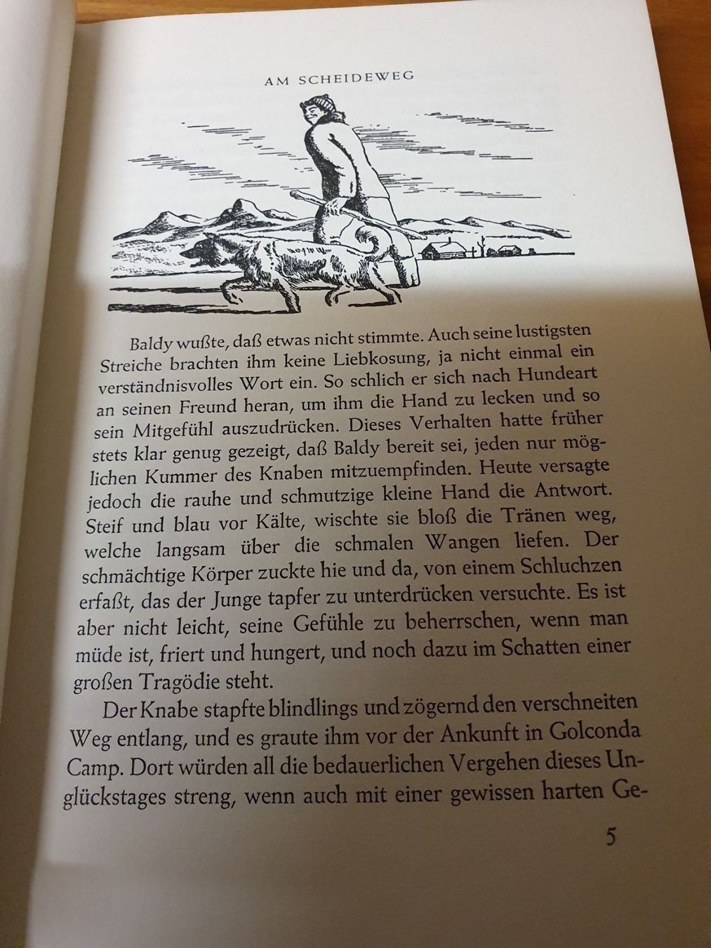 Libri: Baldy Geschichte eines Schlittenhundes – Usato da Oberdorf BL venduto da BaldenEagle 3