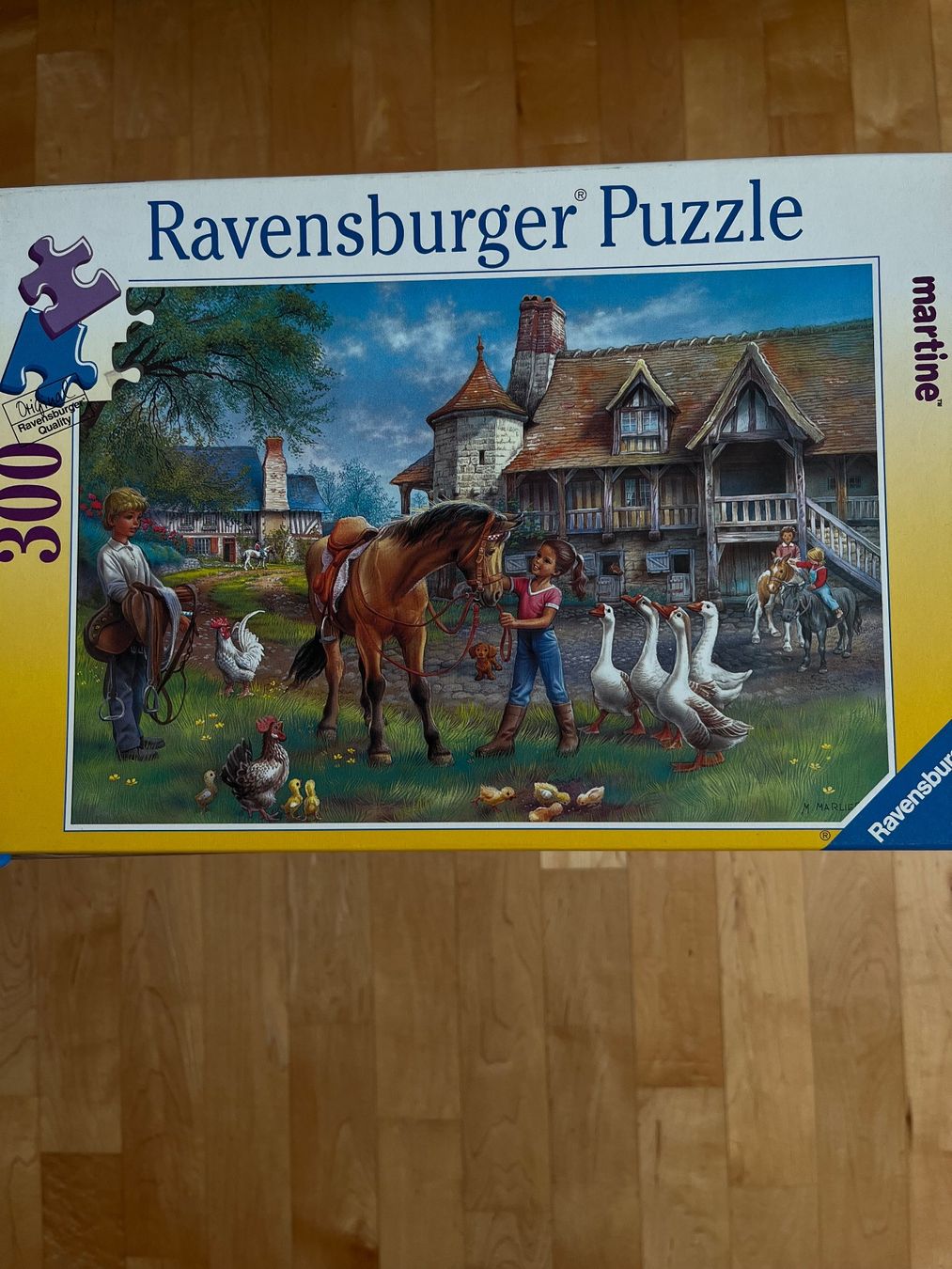 Ravensburger Puzzle: Puzzles von Ravensburger – Usato da Hinteregg venduto da Sell-and-Buy20 1