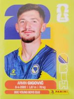 Panini FIFA World Cup BIH 10